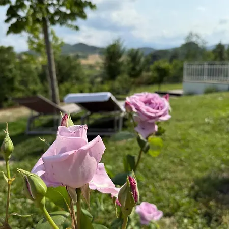شقة Dimora Molino Galeotto , Giardino E Vista Appennino *