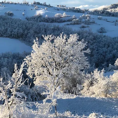 Dimora Molino Galeotto , Giardino E Vista Appennino * بافولو نيل فرينانو
