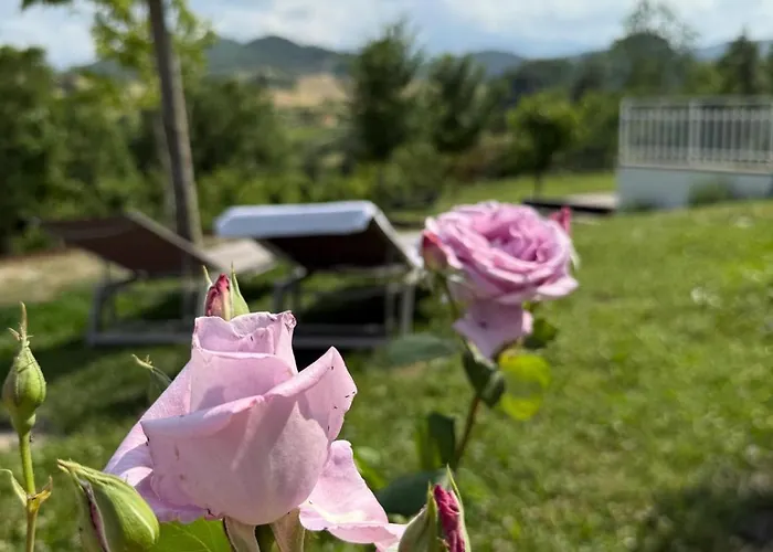 Apartamento Riserva Del Frignano Appartaments *