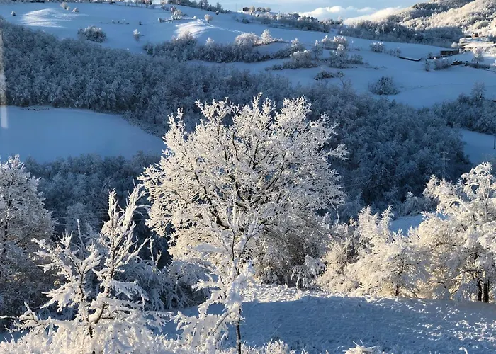Riserva Del Frignano Appartaments * Pavullo nel Frignano